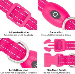 img 2 attached to BSEEN XS LED Dog Collar: Adjustable USB Rechargeable Glowing Pet Collar for Small Dogs & Cats - Light Up Collars to Enhance Visibility