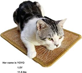 img 1 attached to 🐱 Small Cat Scratcher - Indoor Scratching Pad - Deter Furniture Scratching - Sisal Cat Scratcher Mat for Small Cats