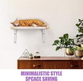 img 2 attached to 🐱 BEBOBLY Floating Cat Wall Shelves and Perch: Modern Hanging Cat Hammock Bed for Indoor Cats - Solid Furniture for Sleeping, Playing, Climbing, and Lounging