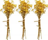 add a touch of natural elegance with garneck dried baby's breath flowers in yellow – perfect for lasting diy floral arrangements and home decor logo