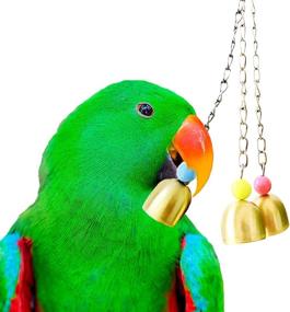 img 3 attached to 🔔 SunGrow Parrot Bell Toy with Galvanized Steel Bells – Ideal for Cockatiels, Conures, Chickens, Ducks, Lovebirds – Jingle Sound