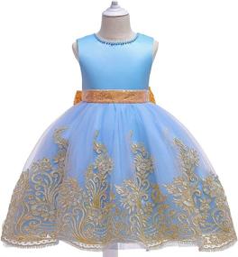 img 3 attached to Set of 4 Girls' Embroiderd Birthday Applique Dresses for Ages 4-10 Years