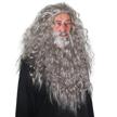skeleteen grey wig and beard - long gray wizard wig and beard costume accessory for adults and kids logo