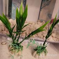 img 1 attached to Enhance Your Aquarium With A Pack Of 12 Realistic Green Plastic Plants - 4.33" Tall review by Brittany Williams