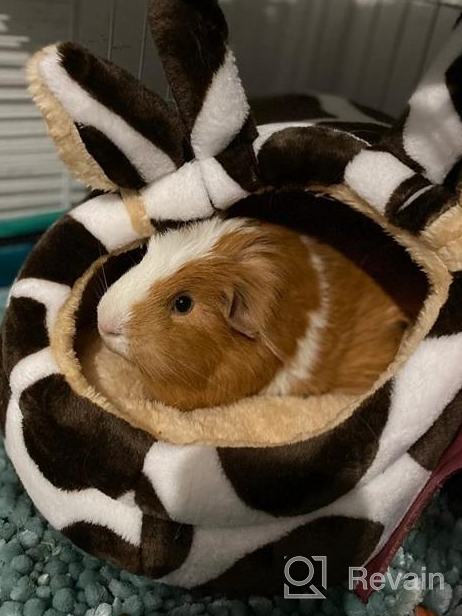 img 1 attached to HOMEYA Guinea Pig Bed, Hamster Hideout Small Animal Cage Accessories Supplies, Semi-Enclosed Winter Christmas Large Pumpkin Nest With Removable Mat For Rat Hedgehog Sugar Glider And Chinchilla-Green review by David Crowder