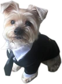 img 1 attached to Classy Canine Fashion: Alfie Pet's Oscar Formal Tuxedo with Black Tie and Red Bow Tie