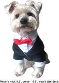 img 3 attached to Classy Canine Fashion: Alfie Pet's Oscar Formal Tuxedo with Black Tie and Red Bow Tie