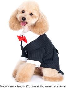 img 2 attached to Classy Canine Fashion: Alfie Pet's Oscar Formal Tuxedo with Black Tie and Red Bow Tie