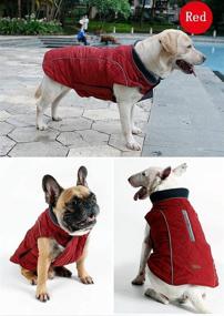 img 3 attached to 🐶 Water Resistant Dog Coat with Reflective Strim - Winter Jacket with Underbelly Warmth and Harness Hole - Ideal for French Bulldog, Shitzu, Jack Russell Terrier