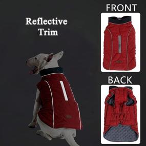 img 1 attached to 🐶 Water Resistant Dog Coat with Reflective Strim - Winter Jacket with Underbelly Warmth and Harness Hole - Ideal for French Bulldog, Shitzu, Jack Russell Terrier