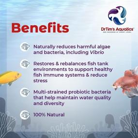 img 2 attached to DrTims Aquatics Eco Balance Multi Strained Freshwater Fish & Aquatic Pets at Aquarium Water Treatments