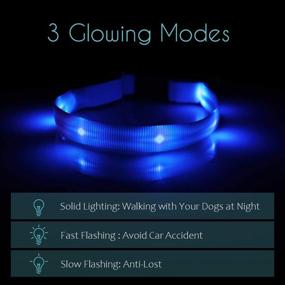 img 3 attached to PcEoTllar Extra Small LED Dog Collar: Rechargeable Light Up Collar for Small Dogs & Large Cats, Night Safety Pet Collar for Improved Visibility and Water Resistance