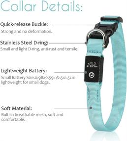 img 1 attached to PcEoTllar Extra Small LED Dog Collar: Rechargeable Light Up Collar for Small Dogs & Large Cats, Night Safety Pet Collar for Improved Visibility and Water Resistance