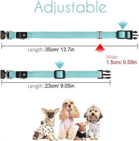 img 2 attached to PcEoTllar Extra Small LED Dog Collar: Rechargeable Light Up Collar for Small Dogs & Large Cats, Night Safety Pet Collar for Improved Visibility and Water Resistance