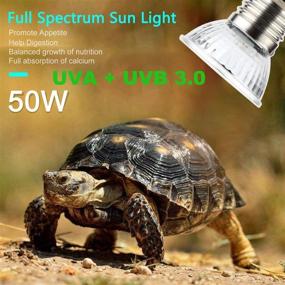 img 1 attached to 🦎 Genius Reptile Lamp Fixture Holder Clamp with 3-pcs 50W UVA + UVB Full Spectrum Sun Lamp Sunbathe Heat Bulb, Extended Adjustable Stand, for Pet Habitat Heat Light Bulbs, White (2 Pack)