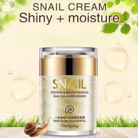 img 3 attached to Facial Snail Cream, Anti Aging Anti Wrinkle Face Moisturizer Snail Extract Day And Night Cream For Skin Tightening