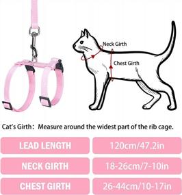 img 3 attached to PUPTECK Pink Nylon Cat Harness With Adjustable Collar And Leash: The Perfect Combination For Your Feline Friend