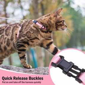 img 2 attached to PUPTECK Pink Nylon Cat Harness With Adjustable Collar And Leash: The Perfect Combination For Your Feline Friend