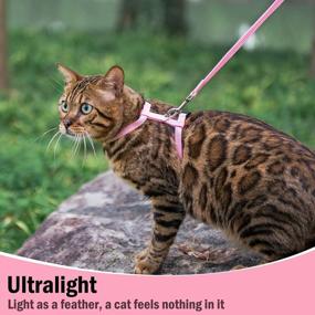 img 1 attached to PUPTECK Pink Nylon Cat Harness With Adjustable Collar And Leash: The Perfect Combination For Your Feline Friend