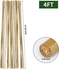 img 3 attached to 25-Pack 4Ft Bamboo Garden Stakes For Tomatoes And Trees Support