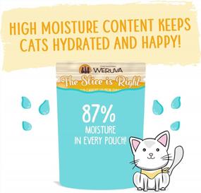 img 1 attached to Indulge Your Feline With Weruva'S Wild Caught Salmon Paté - 12-Pack 2.8Oz Pouches!