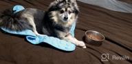img 1 attached to Keep Your Furry Friends Cool And Comfortable With VeMee Cooling Mat Pad - XL Size, Ice Silk Material, Perfect For Kennels, Beds, And Car Seats! review by Jack Ngo
