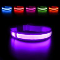 🐶 usb rechargeable led lighted dog collar, waterproof masbrill glow collar with bright purple flashing, available in 4 colors and 3 sizes for small, medium, and large dogs логотип