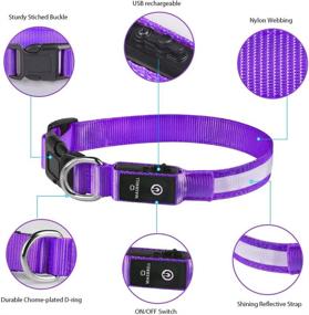 img 3 attached to 🐶 USB Rechargeable LED Lighted Dog Collar, Waterproof MASBRILL Glow Collar with Bright Purple Flashing, Available in 4 Colors and 3 Sizes for Small, Medium, and Large Dogs