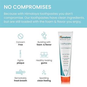 img 1 attached to 🍃 Pomegranate Toothpaste without Fluoride and Saccharin - Himalaya Oral Care