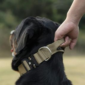 img 2 attached to 🐶 TSPRO Premium Dog Collar with Handle - Thick & Adjustable for Small, Medium to Extra Large Dogs - Heavy Duty & Quick-Release Metal Buckle