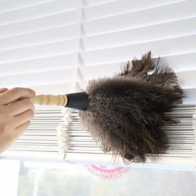 img 1 attached to 2-Pack Midoneat Natural Gray Ostrich Feather Duster For Interior And Exterior Cleaning - Ideal For Blinds, Keyboard, Kitchen, And Office - Smart, Soft, And Fluffy Duster