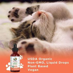 img 1 attached to 🐱Органический пробиотик для кошек для поддержки пищеварения - Сертифицировано USDA, средство для здоровья кишечника с полезными бактериями - Веганский, без ГМО, без глютена - 4 жидких унции