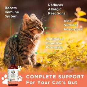 img 3 attached to 🐱Органический пробиотик для кошек для поддержки пищеварения - Сертифицировано USDA, средство для здоровья кишечника с полезными бактериями - Веганский, без ГМО, без глютена - 4 жидких унции