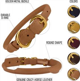 img 2 attached to BRONZEDOG Rolled Leather Dog Collar Durable Round Small Medium Large Dogs Puppy Cat Burgundy Mustard Blue Brown 15-17 Inch Light Brown