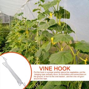 img 3 attached to 10 Pack Of Flexible Tomato Support Hooks With V-Shaped Twine Hooks And 33Ft Rope For Garden Vines And Vegetables
