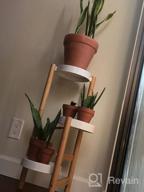 img 1 attached to 3 Tier Bamboo Plant Stand Indoor, Small Corner Plant Holder Modern Style Tall Display Rack Home Hallway Balcony review by Joshua Huan