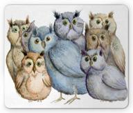 ambesonne owl mouse pad, watercolor hand drawn owl family portrait vintage bohemian wildlife birds, rectangle non-slip rubber mousepad, standard size, multicolor logo