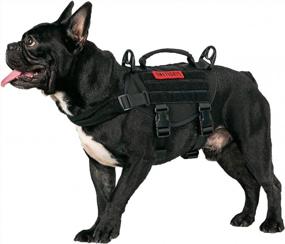 img 4 attached to Tactical Military Dog Harness With Vertical Handle And Durability For Small Puppies - XS (Neck: 11"-17", Chest: 15"-22")