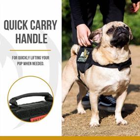 img 2 attached to Tactical Military Dog Harness With Vertical Handle And Durability For Small Puppies - XS (Neck: 11"-17", Chest: 15"-22")