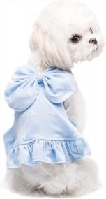 img 4 attached to YAODHAOD Blue Dog Princess Dress With Bow And Lace, Perfect For Summer Weddings And Parties - XX-Large Size For Large Dogs