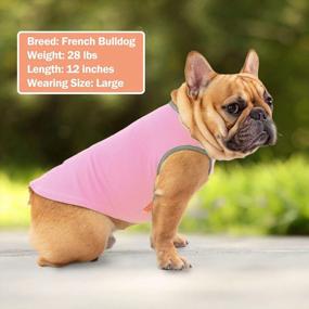img 2 attached to KYEESE 2 Pack Рубашки для собак Собаки Дышащий мгновенный жилет для собак Легкий для летней одежды для собак (средний (упаковка из 2), розовый + серый)