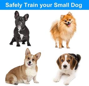 img 1 attached to 🐶 eXuby Shock Collar for Small Dogs - Dual Collar Set (Small & Medium) with Training Clicker – 3 Modes (Sound, Vibration & Shock) and Rechargeable Batteries