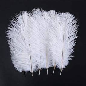 img 2 attached to 16-18 Inches (40-45Cm) Real Natural Ostrich Feathers Bulk White,Great Decorations For Christmas Halloween Home Party Wedding Centerpieces (White 10Pcs)