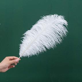 img 3 attached to 16-18 Inches (40-45Cm) Real Natural Ostrich Feathers Bulk White,Great Decorations For Christmas Halloween Home Party Wedding Centerpieces (White 10Pcs)