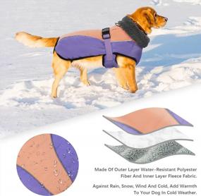 img 2 attached to IDOMIK Dog Coat Warm Dog Winter Coat, Waterproof Dog Jacket For Large Dogs, Dog Cold Weather Coat Reflective Fleece Coat With High Collar, Dog Snow Jacket Snowsuit Vest For Small Medium Large Dogs, S