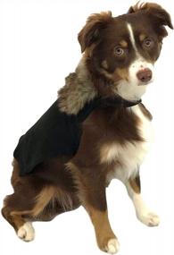 img 3 attached to Cozy Winter Lord Dog Costume With Fur Cloak For Halloween | Size Medium | ComfyCamper