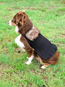 img 1 attached to Cozy Winter Lord Dog Costume With Fur Cloak For Halloween | Size Medium | ComfyCamper