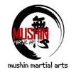 mushin martial arts usa logo