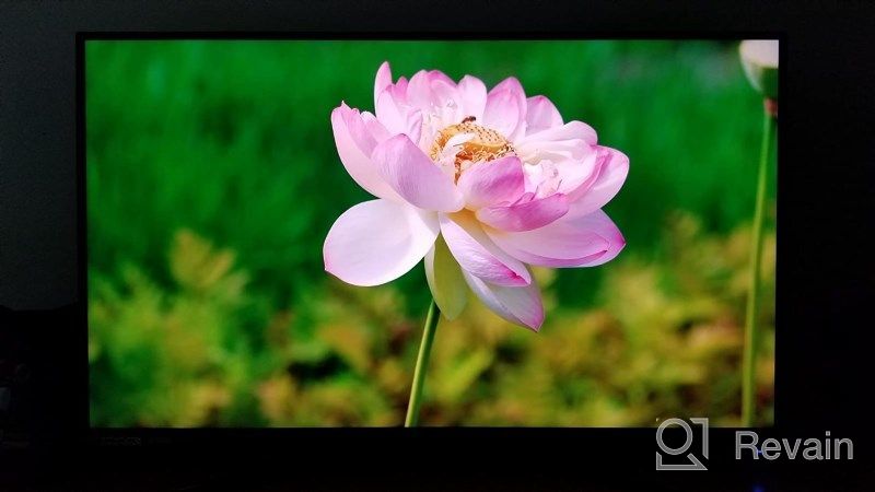img 1 attached to Acer XB323U GPbmiiphzx Display with HDR600, WQHD (2560X1440), 170Hz, IPS Panel review by Swami Shuster