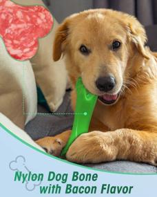 img 2 attached to Indestructible Dog Chew Toys For Large Breeds - Oneisall Bone Chew Toy For Aggressive Chewers